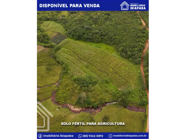 Imagem 5: Terreno de 05 Hectares e com Rio Incrível - Excelente para Agricultura e Investimento