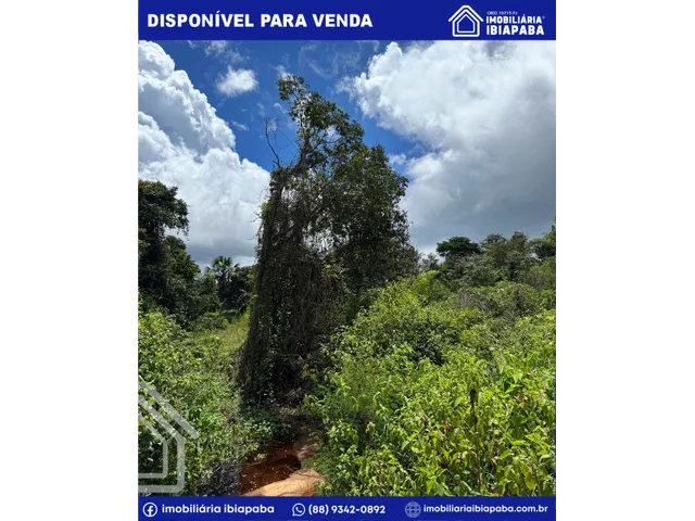 Imagem 6: Terreno de 05 Hectares e com Rio Incrível - Excelente para Agricultura e Investimento
