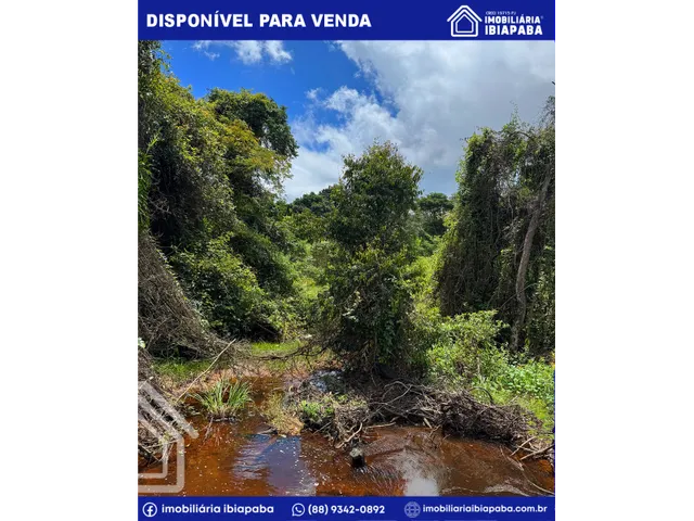 Imagem 4: Terreno de 05 Hectares e com Rio Incrível - Excelente para Agricultura e Investimento