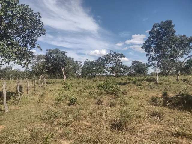 Imagem 4: Lotes 1.000M² em Corinto com Financiamento Direto com o Proprietário