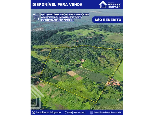Imagem: Oportunidade Única 46 Hectares Completos