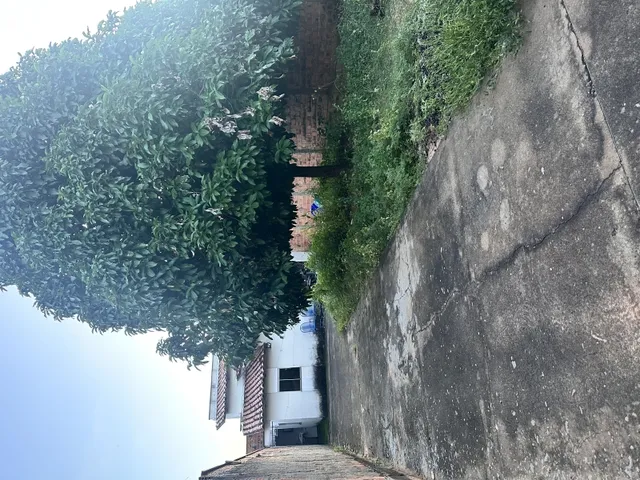 Imagem: A casa está localizado em Linha Bonita, Araguaína à venda