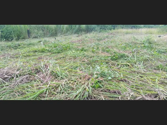 Imagem 2: Terreno Parte Alta da Cidade