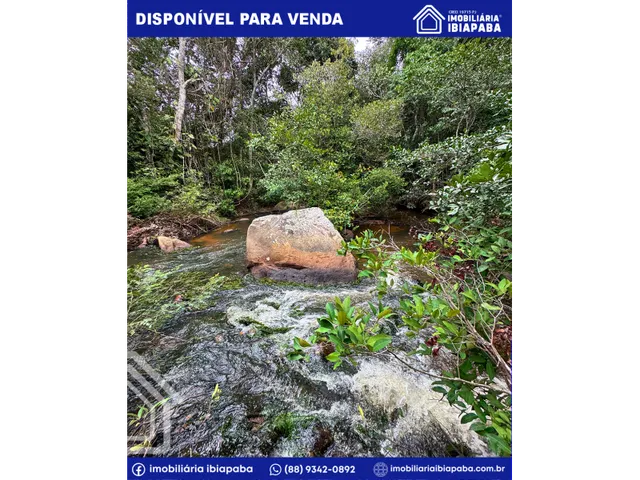 Imagem 3: Excelente Terreno com 21 Hectares e com Rio Perene na Serra da Ibiapaba