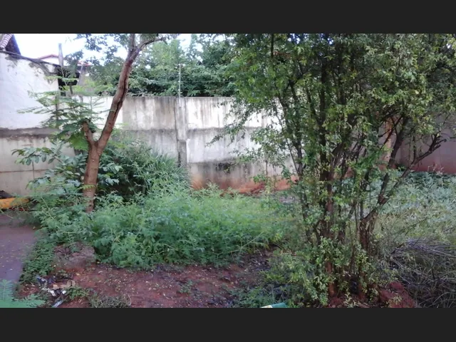 Imagem 13: Aluga Uma Casa no Centro de Ituiutaba