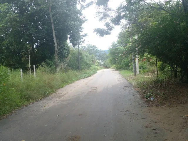Imagem 6: Mini Sitio - Campo Alegre, Nova Iguaç/Rj