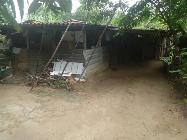 Imagem 9: Mini Sitio - Campo Alegre, Nova Iguaç/Rj