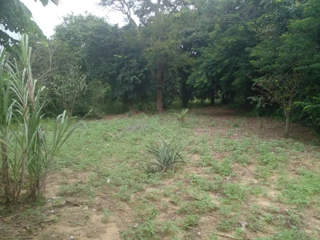 Imagem 4: Mini Sitio - Campo Alegre, Nova Iguaç/Rj