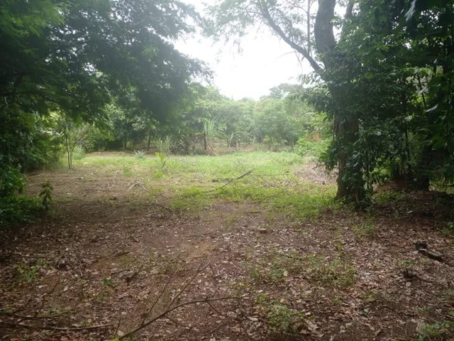 Imagem 8: Mini Sitio - Campo Alegre, Nova Iguaç/Rj