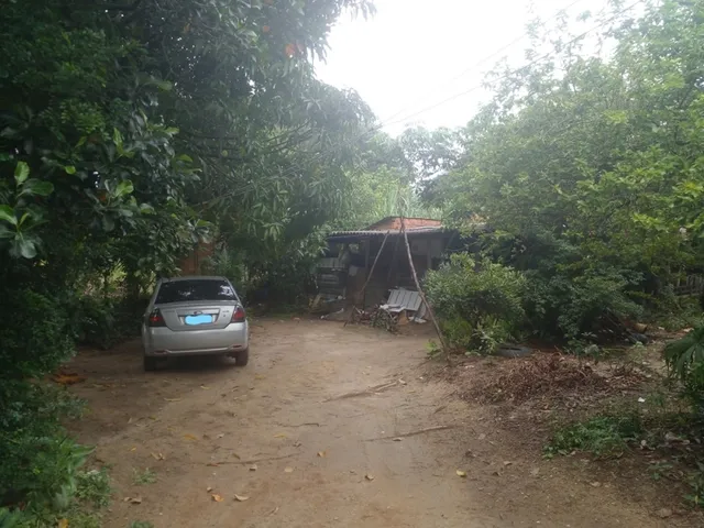 Imagem 7: Mini Sitio - Campo Alegre, Nova Iguaç/Rj