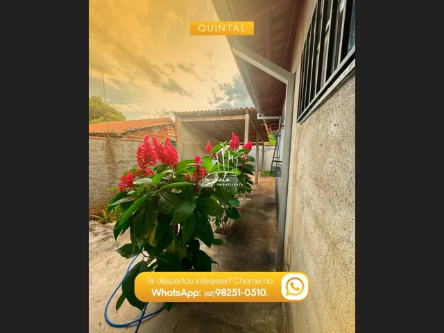 Imagem 5: Sua Casa Nova em Amarolândia! Imóvel a Venda