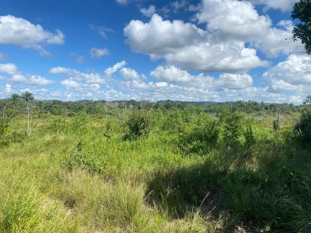 Imagem: Sítio À Venda