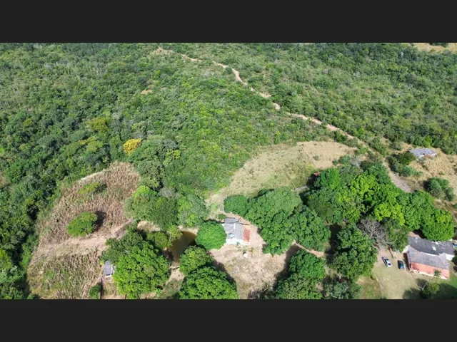 Imagem: Fazenda À Venda - 148 Hectares em Águas
