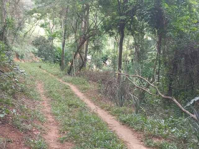 Imagem 4: Vende-Se, Sítio, Conceição de Macabu-Rj