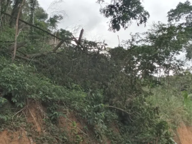 Imagem 3: Vende-Se, Sítio, Conceição de Macabu-Rj
