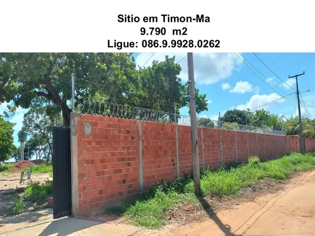 Imagem 8: Sitio na Comunidade Carnaúba de Pedra - Timon-Ma