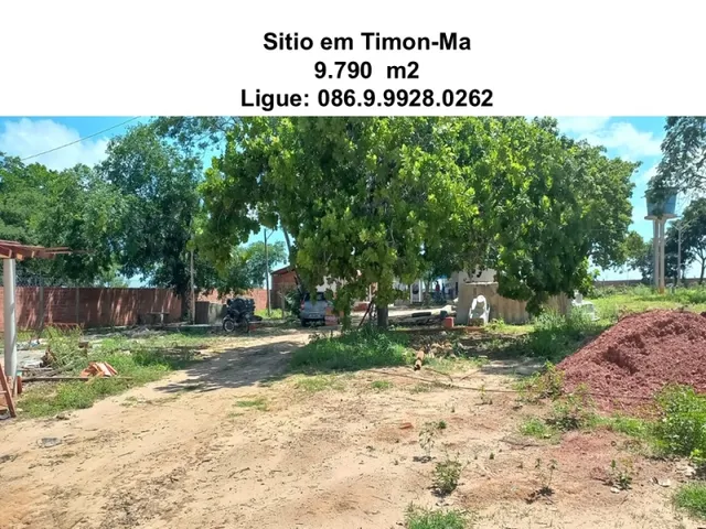 Imagem 5: Sitio na Comunidade Carnaúba de Pedra - Timon-Ma