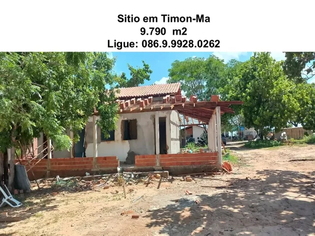 Imagem 6: Sitio na Comunidade Carnaúba de Pedra - Timon-Ma
