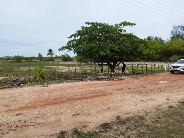Imagem 2: Lotes de Terreno na Praia de Capim Açu. Perfeito para Pousada