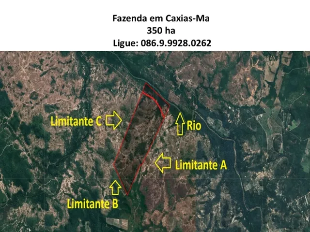 Imagem: A fazenda possui 3.500.000m² de Área e está localizado