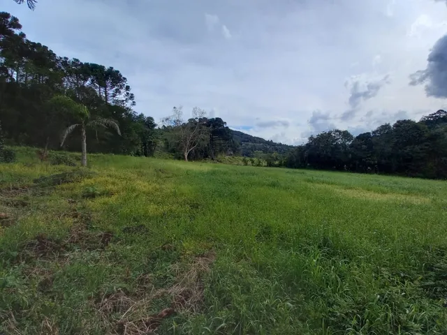 Imagem: Área de Terras com 19,5 Hectares em Igrejinha