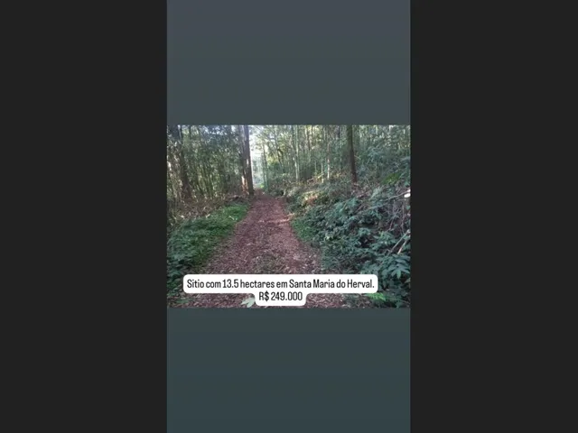 Imagem 1: Área de Terras com 13,5 Hectares em santa Maria do Herval