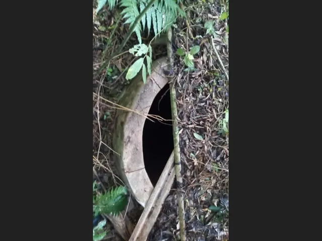 Imagem 3: Área de Terras com 13,5 Hectares em santa Maria do Herval