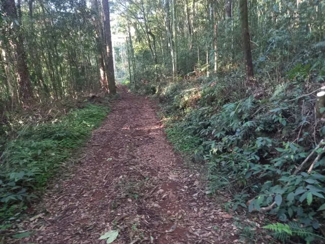 Imagem 9: Área de Terras com 13,5 Hectares em santa Maria do Herval