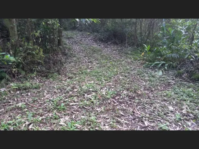 Imagem 4: Área de Terras com 13,5 Hectares em santa Maria do Herval