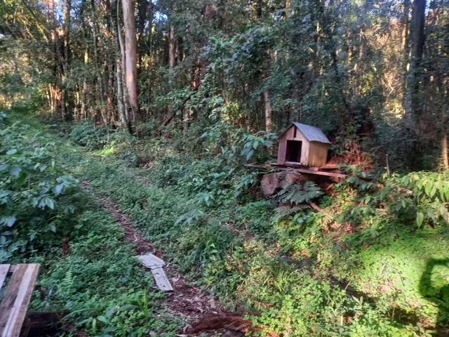 Imagem 11: Área de Terras com 13,5 Hectares em santa Maria do Herval