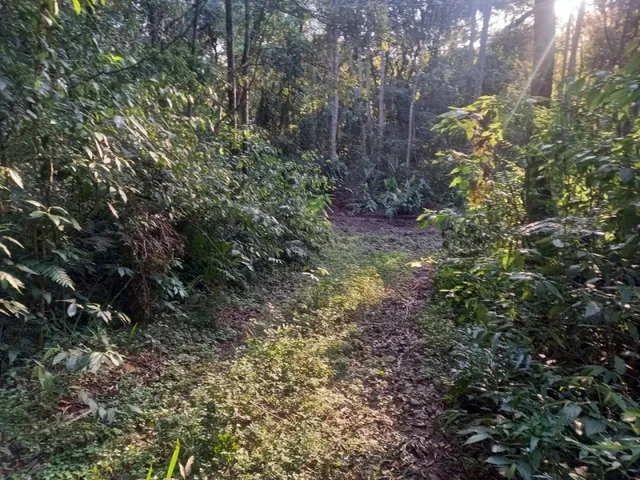 Imagem 13: Área de Terras com 13,5 Hectares em santa Maria do Herval