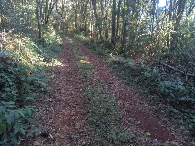 Imagem 6: Área de Terras com 13,5 Hectares em santa Maria do Herval