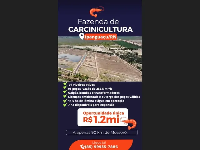 Imagem: Fazenda de Carcinicultura 180.000 M2 em