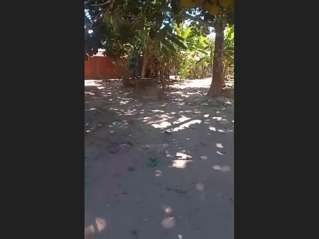 Imagem: Terreno em Ibiapina - Ceará