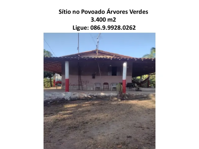 Imagem: Sítio no Povoado Árvores Verdes
