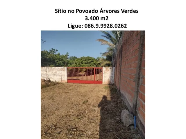 Imagem 4: Sítio no Povoado Árvores Verdes