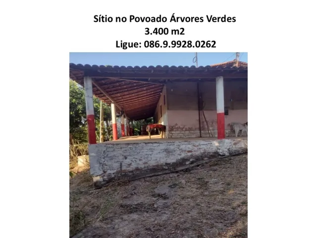 Imagem 3: Sítio no Povoado Árvores Verdes