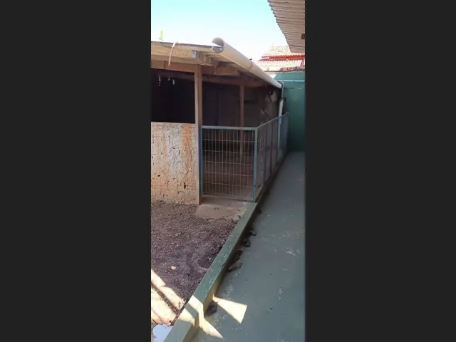 Imagem 8: Vendo Casa com Ponto Comercial em Goianésia