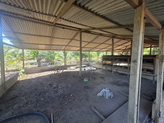 Imagem 16: Viva a Tranquilidade do Campo com Renda Garantida!