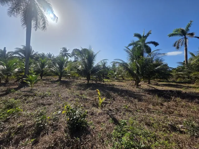 Imagem 13: Viva a Tranquilidade do Campo com Renda Garantida!