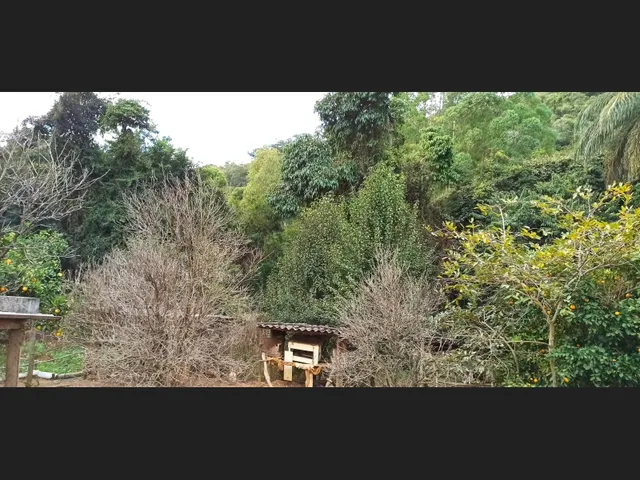 Imagem 7: Vende-Se Sítio em Caeté/Mg - 31 Hectares