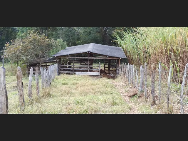 Imagem 12: Vende-Se Sítio em Caeté/Mg - 31 Hectares