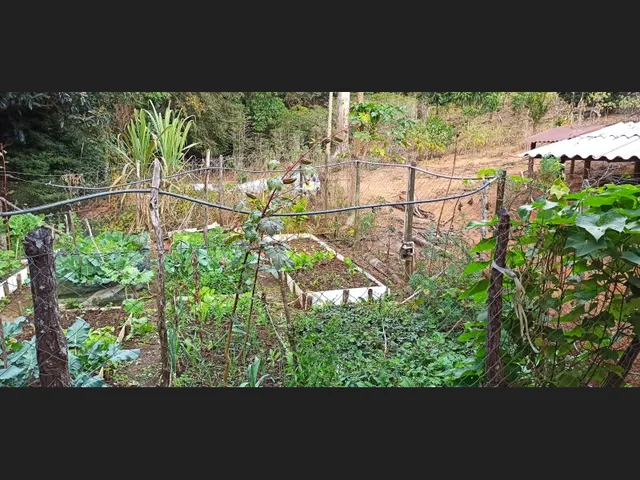 Imagem 2: Vende-Se Sítio em Caeté/Mg - 31 Hectares