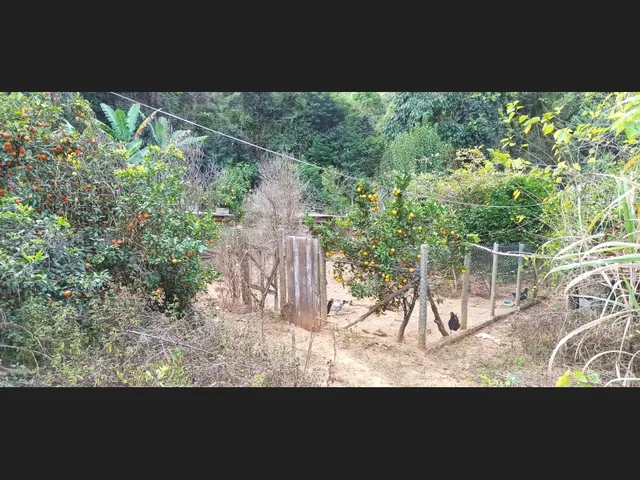 Imagem 6: Vende-Se Sítio em Caeté/Mg - 31 Hectares