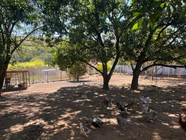 Imagem 9: Sítio em Carmópolis de Minas, Apenas 2 Km da Cidade