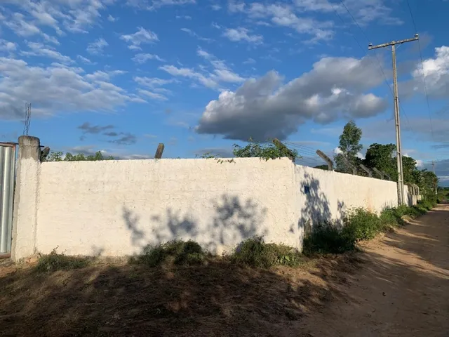 Imagem 13: Chacara À Venda em Serrinha - Oportunidade Única!