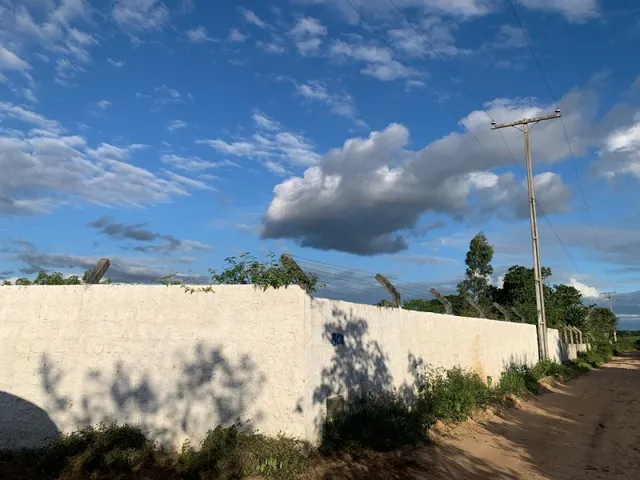 Imagem 6: Chacara À Venda em Serrinha - Oportunidade Única!