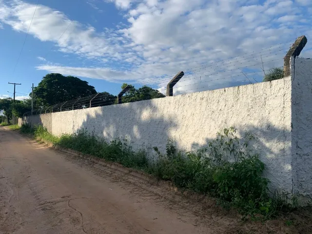Imagem 5: Chacara À Venda em Serrinha - Oportunidade Única!
