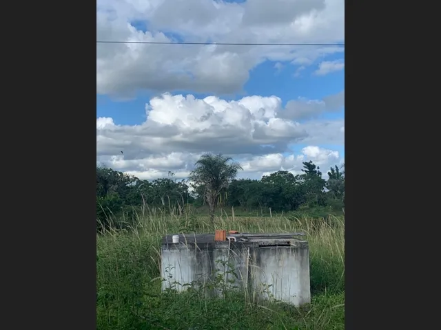 Imagem 9: Chacara À Venda em Serrinha - Oportunidade Única!