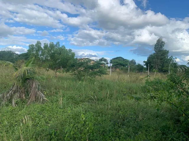 Imagem 4: Chacara À Venda em Serrinha - Oportunidade Única!